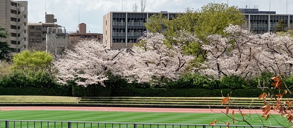 季節は春から初夏へ