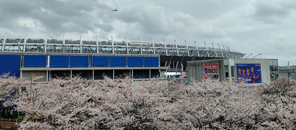 新しいシーズンの始まりです