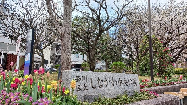 会場のしながわ中央公園G
